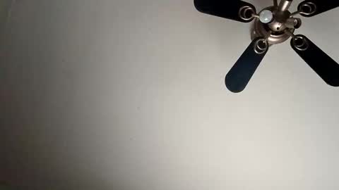 Snapshot of randallcody15 chatting on 6, 1, 2025 randallcody15 online show from 6, 1, 2025