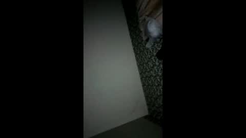 Snapshot of randallcody15 chatting on 6, 10, 2025 randallcody15 online show from 6, 10, 2025