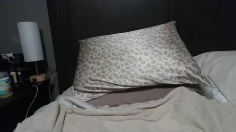 Snapshot of ravchat chatting on 23, 1, 2025 ravchat online show from 23, 1, 2025