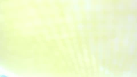 Ravenfox  online show from 29, 3, 2026