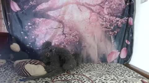 ravenlotus online show from 25, 6, 2026