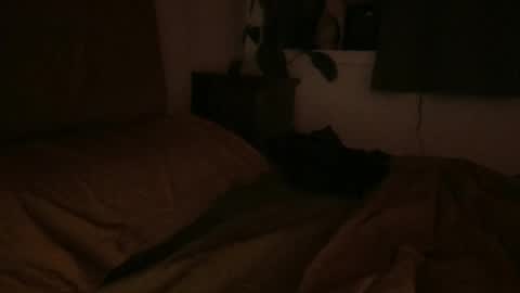 Snapshot of ravenousbttm chatting on 6, 2, 2025 sebas online show from 6, 2, 2025