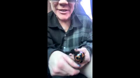 Snapshot of ravenrayyy chatting on 9, 2, 2026 Raven Ray online show from 9, 2, 2026