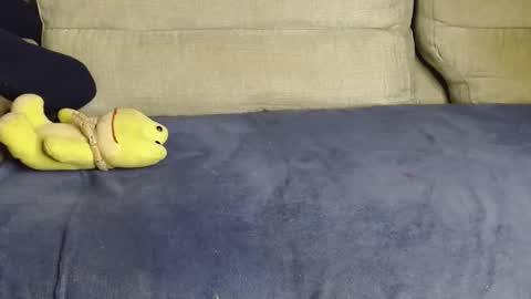 Ray  online show from 14, 3, 2026