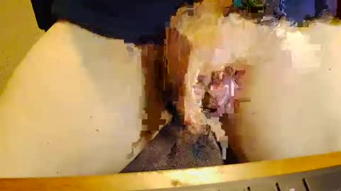 rb69er905364 online show from 17, 11, 2025