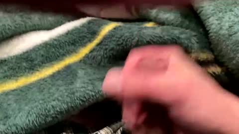 realbigload77 online show from 24, 2, 2026