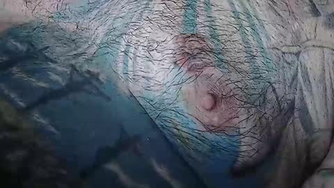 realrubpirate online show from 13, 3, 2026