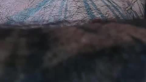 realrubpirate online show from 15, 4, 2026