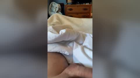 Snapshot of realsilverfox chatting on 13, 6, 2026 realsilverfox online show from 13, 6, 2026