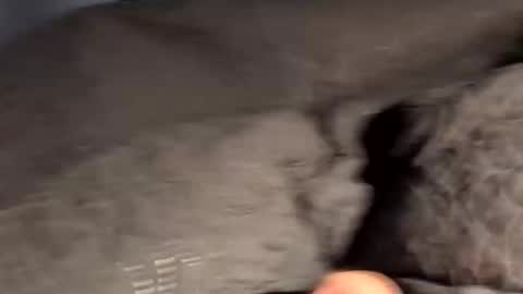 Snapshot of rebornbutbored chatting on 15, 11, 2025 rebornbutbored online show from 15, 11, 2025