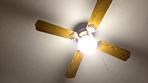 red24devils online show from 22, 9, 2025