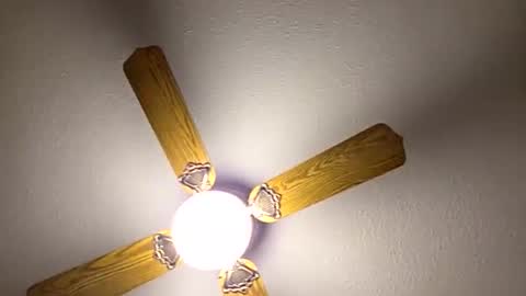 red24devils online show from 14, 3, 2026