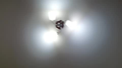 Snapshot of red_fox777 chatting on 12, 2, 2026 Lisa online show from 12, 2, 2026