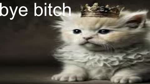 Snapshot of red_queeen chatting on 28, 12, 2024 QUEEN OF EVIL online show from 28, 12, 2024