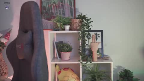 Snapshot of red_queeen chatting on 29, 12, 2024 QUEEN OF EVIL online show from 29, 12, 2024