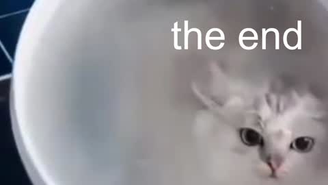 Snapshot of red_queeen chatting on 13, 1, 2025 QUEEN OF EVIL online show from 13, 1, 2025