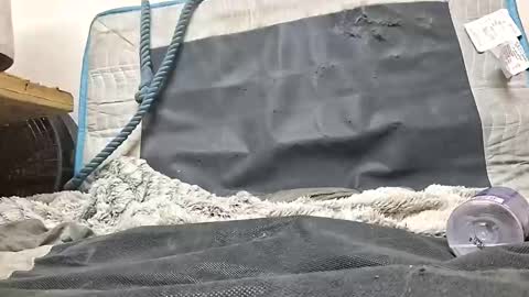 rednicedick online show from 16, 10, 2025