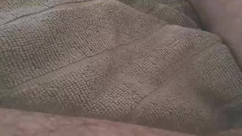 redwhiteblue_24 online show from 23, 4, 2026