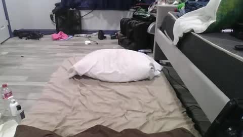 Snapshot of remshotdt chatting on 24, 2, 2025 remshotdt online show from 24, 2, 2025