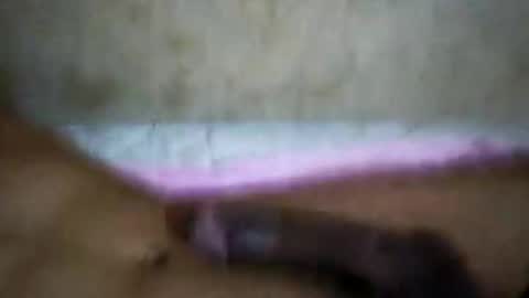 rica1234567890961640 online show from 21, 10, 2025