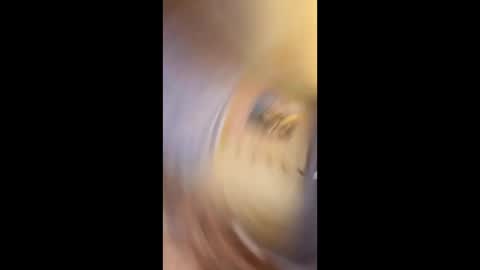 Snapshot of richtarus chatting on 15, 2, 2026 Gunman online show from 15, 2, 2026