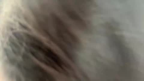 Snapshot of rickistegemann chatting on 27, 2, 2026 Ammy here its my first stream here online show from 27, 2, 2026