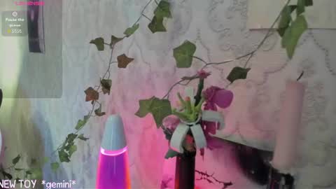 Snapshot of rileynymph chatting on 25, 7, 2026 My name is Riley Like my broadcast pls 3 online show from 25, 7, 2026