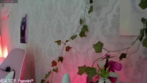 Snapshot of rileynymph chatting on 26, 7, 2026 My name is Riley Like my broadcast pls 3 online show from 26, 7, 2026