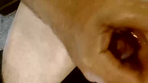 Snapshot of risingphoenix23 chatting on 13, 10, 2025 risingphoenix23 online show from 13, 10, 2025