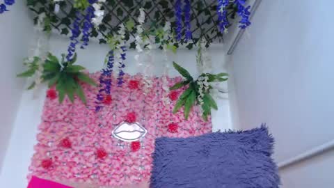 Risitos De Oro online show from 29, 4, 2026