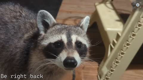 Ryan aka KeylimeRy online show from 5, 2, 2025