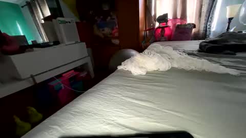 roarmance1 online show from 13, 11, 2025