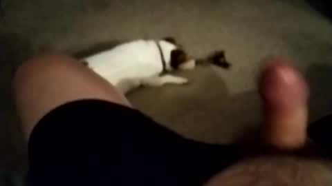 robbiebob6828 online show from 27, 11, 2025