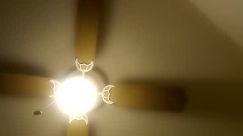 robertsaiz4200 online show from 20, 12, 2025