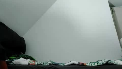 Zenek online show from 2, 10, 2025