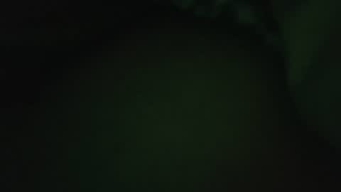 Snapshot of rocce4147 chatting on 7, 8, 2026 rocce4147 online show from 7, 8, 2026