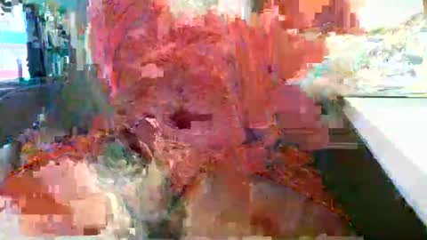 Rocco  aka DaddyRoc online show from 18, 2, 2026