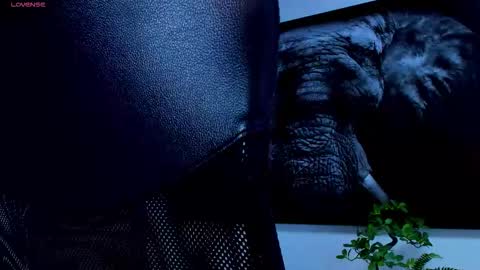 santos online show from 25, 2, 2026