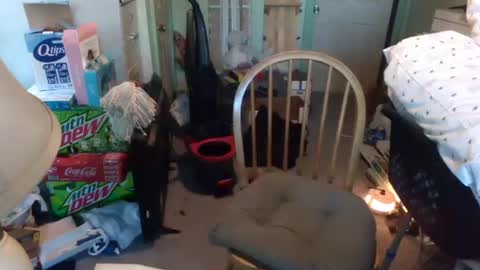 rocky082288 online show from 9, 1, 2025