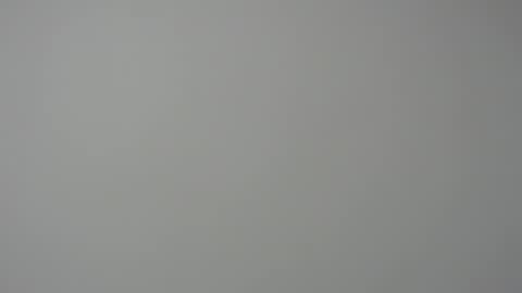 rocky muscle online show from 5, 3, 2026