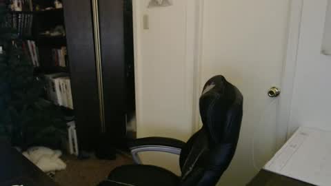 rockydanger online show from 3, 3, 2026