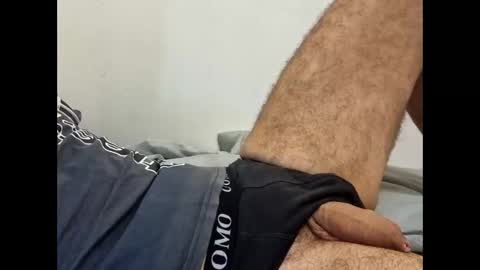 rollino83 online show from 11, 11, 2025