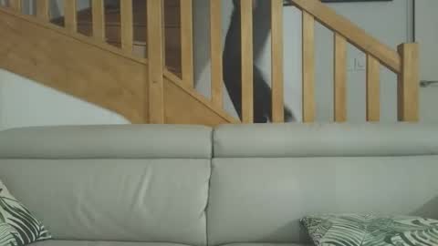 Romain online show from 3, 3, 2026