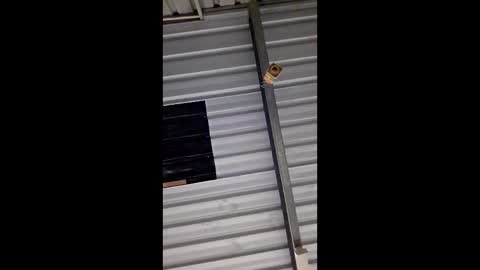 ronabater online show from 11, 1, 2026