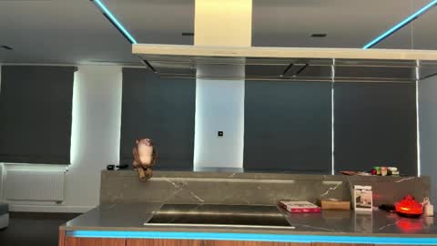 Snapshot of ronaldleidholt chatting on 2, 4, 2026 Ketlyn is here now help me get 50 thumbs up pls online show from 2, 4, 2026