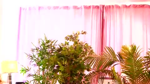 Rosa online show from 27, 7, 2026