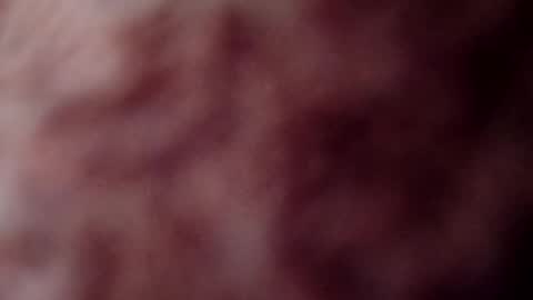 Snapshot of rose12161216 chatting on 3, 11, 2025 rose12161216 online show from 3, 11, 2025