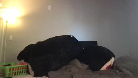 Rosie online show from 3, 3, 2026