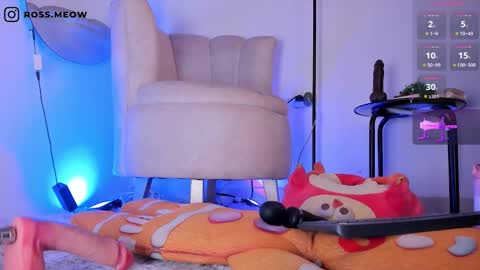 ross_meow online show from 6, 3, 2026