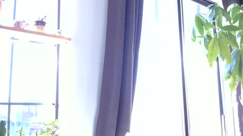 RossCollab online show from 19, 1, 2026